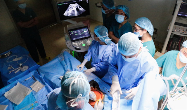 Hai bệnh viện hội chẩn khẩn, cứu được bào thai bị dị tật tim bẩm sinh- Ảnh 1.
