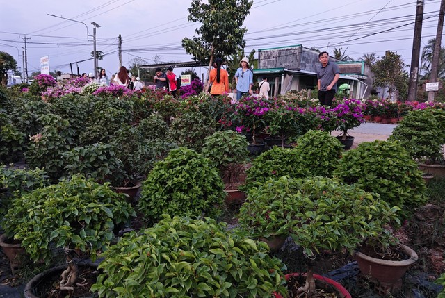 Miu Lê, Long Chun và hàng chục Tiktoker livestream bán hàng tại vựa hoa lớn nhất miền Tây- Ảnh 7.