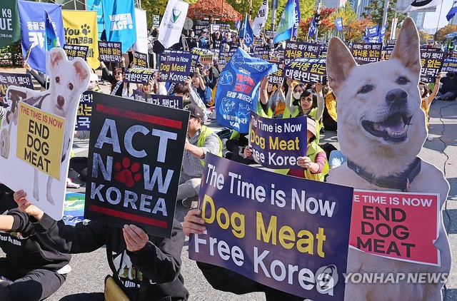 Người dân tham gia cuộc biểu tình kêu gọi chấm dứt tiêu thụ thịt chó ở Seoul, Hàn Quốc, ngày 29-10-2023. Ảnh: Yonhap