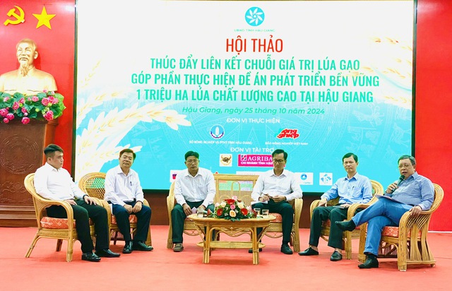 Hiệu quả bất ngờ việc thí điểm Đề án 1 triệu ha lúa chất lượng cao- Ảnh 1.