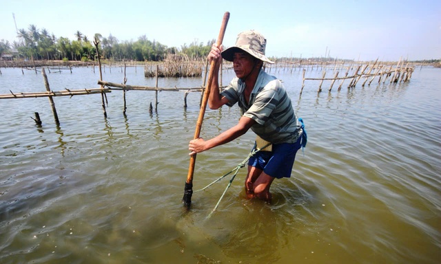 Trường Giang đã tạo sinh kế cho hàng ngàn người dân sống ven bờ từ bao đời nay