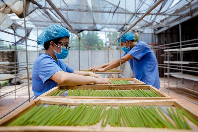 Chuyển đổi xanh là cơ hội, nhu cầu: Đầu tư bài bản sẽ hái trái ngọt- Ảnh 1.