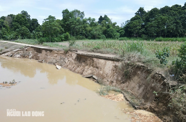 Sạt lở bờ kè sông Mã sau mưa lũ- Ảnh 3.