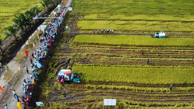 Giải bài toán phân bón ở ĐBSCL- Ảnh 1.