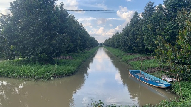 VIDEO: Người dân Cần Thơ tất bật chuẩn bị để sống chung với đỉnh lũ- Ảnh 6.