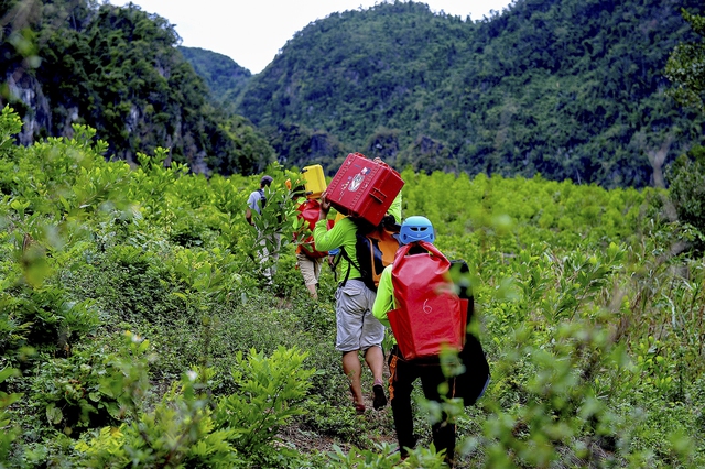 Bảo vệ, gìn giữ nguồn sống bền vững- Ảnh 2.