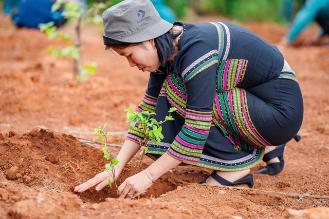 Làm thay đổi diện mạo vùng cao Kon Plông- Ảnh 3.