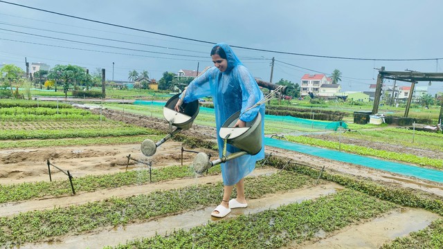 Có gì hấp dẫn ở Trà Quế (Quảng Nam) - làng du lịch tốt nhất thế giới?- Ảnh 2.