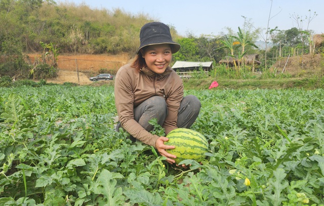 Nỗ lực để Mường Lát thoát nghèo- Ảnh 2.