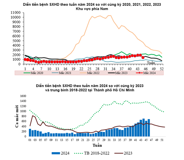 Sở Y tế TP HCM cảnh báo nguy cơ dịch sốt xuất huyết xuất hiện khắp nơi- Ảnh 1.