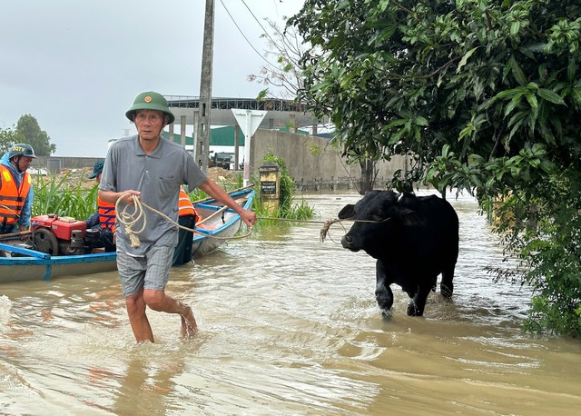 Quảng Ngãi mưa lớn kéo dài, lũ nhấn chìm hàng chục nhà dân- Ảnh 2.