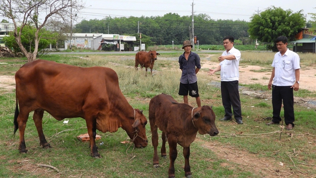 Bước đi vững chắc của Tây Ninh- Ảnh 1.