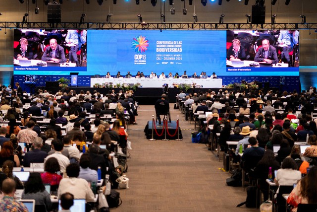 Khung cảnh Hội nghị COP16 tại TP Cali - Colombia hôm 1-11. Ảnh: REUTERS