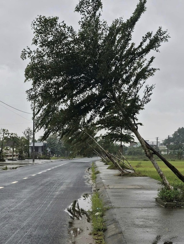 Tìm thấy thi thể người đàn ông bị lũ cuốn ở Quảng Nam- Ảnh 6.