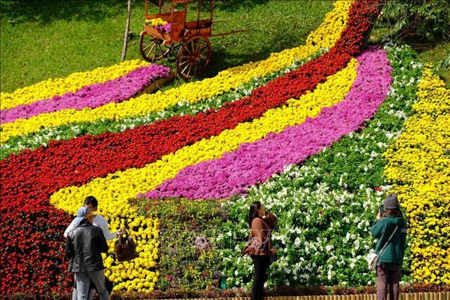 Mỹ Tâm tham gia trình diễn tại Festival Hoa Đà Lạt tháng 12 này- Ảnh 3.