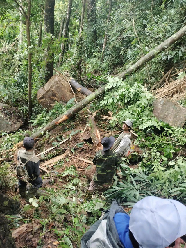 Động đất làm đá lăn từ núi xuống làng: Quảng Nam chỉ đạo "nóng"- Ảnh 2.