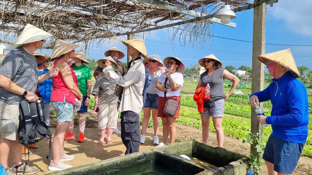 Làng rau Trà Quế (TP Hội An, tỉnh Quảng Nam) được UN Tourism trao Giải thưởng Làng du lịch tốt nhất năm 2024. Trong ảnh: Du khách quốc tế tham quan Làng rau Trà Quế