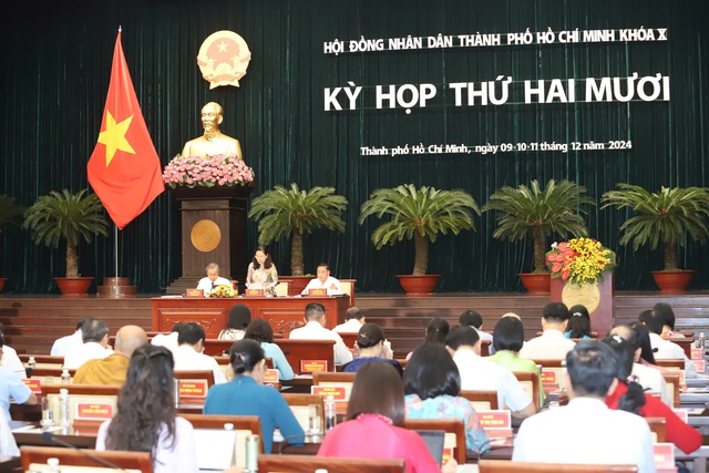 1.000 nhà, đất công bỏ trống: TP HCM sẽ làm gì để biến "gánh nặng" thành "tài sản"?- Ảnh 1.