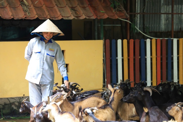 Nợ hàng trăm tỉ đồng nhưng Thảo Cầm Viên Sài Gòn vẫn còn tiền gửi ngân hàng- Ảnh 1.