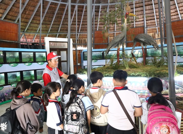 Học sinh tham quan mô hình sếu đầu đỏ tái hiện tại Vườn Quốc gia Tràm Chim Học sinh tham quan mô hình sếu đầu đỏ tái hiện tại Vườn Quốc gia Tràm Chim