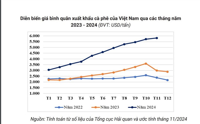 Giá cà phê hôm nay 15-12: Ai phải chi thêm nhiều tiền để mua cà phê Việt?- Ảnh 1.