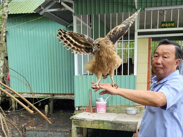 Chung tay bảo vệ động vật hoang dã- Ảnh 3.