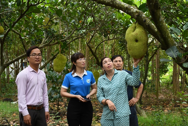 Phát huy vai trò của các tổ chức chính trị - xã hội trong ủy thác cho vay- Ảnh 1.