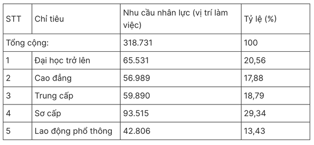 Số liệu bất ngờ về lao động việc làm tại TP HCM trong năm 2024- Ảnh 2.