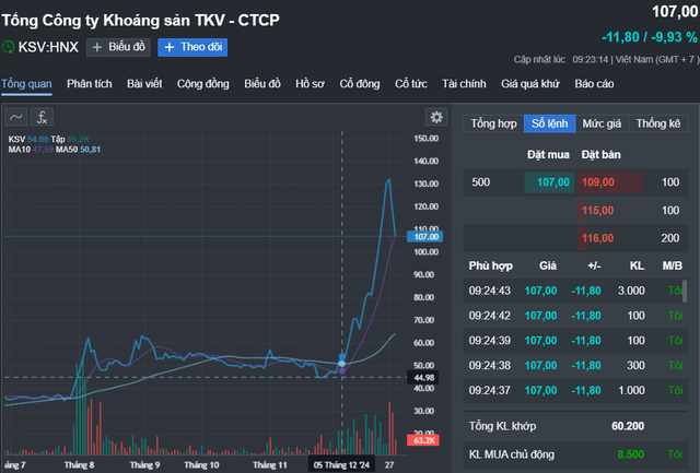 Cổ phiếu một công ty khai thác vàng, kẽm, đồng... tăng gần 3 lần trong 1 tháng- Ảnh 1.