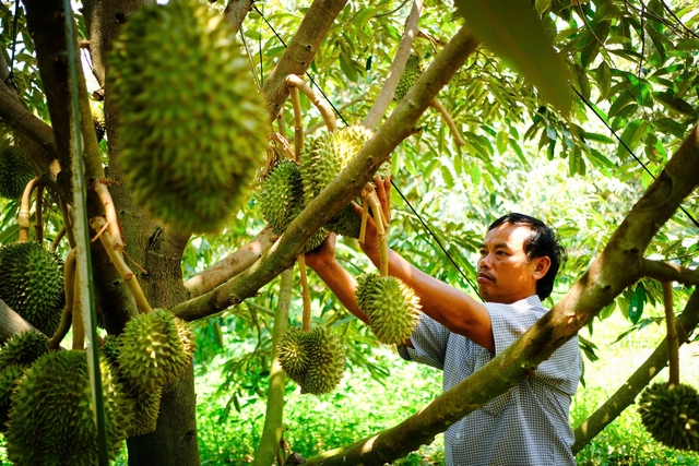 Đức Cơ vươn mình mạnh mẽ- Ảnh 1.