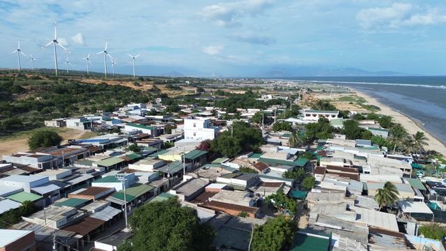 Tổng Bí thư Tô Lâm: Chuẩn bị tốt các điều kiện để tái khởi động Nhà máy Điện hạt nhân Ninh Thuận- Ảnh 3.