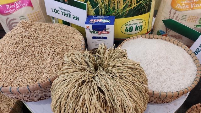 Việt Nam có 5 doanh nghiệp trúng thầu cung cấp gạo cho Indonesia- Ảnh 1.