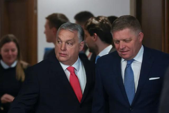 Hungary gây ngỡ ngàng tại thượng đỉnh EU - Ảnh 1.
