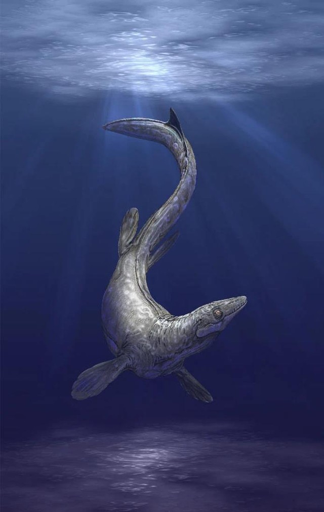 5 loài khủng khiếp nhất của "đại dương quái vật" vừa lộ diện- Ảnh 2.