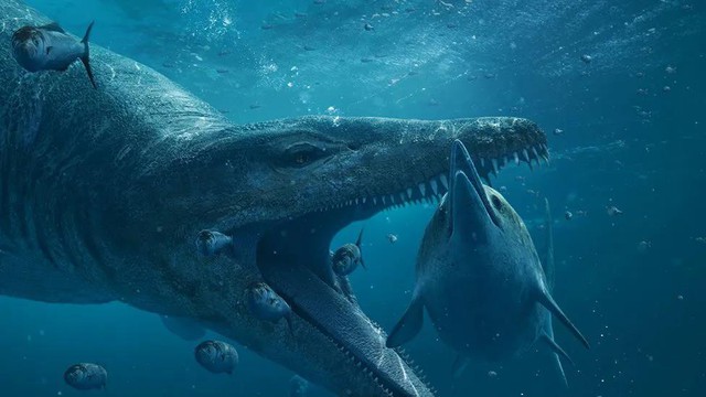 5 loài khủng khiếp nhất của "đại dương quái vật" vừa lộ diện- Ảnh 5.