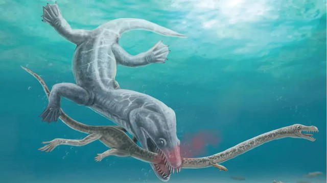 5 loài khủng khiếp nhất của "đại dương quái vật" vừa lộ diện- Ảnh 4.