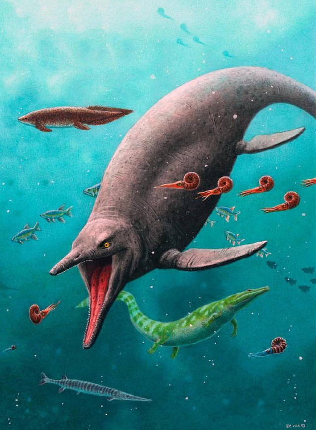 5 loài khủng khiếp nhất của "đại dương quái vật" vừa lộ diện- Ảnh 3.