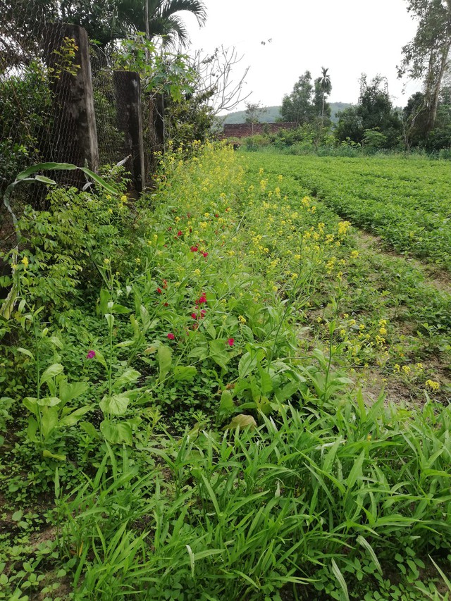 “Xuân sum vầy - Tết sẻ chia”: Đôi bàn chân cát bụi- Ảnh 2.