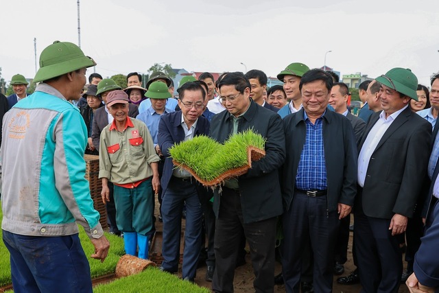 Thủ tướng xuống đồng cấy lúa, lì xì cho bà con nông dân- Ảnh 2.