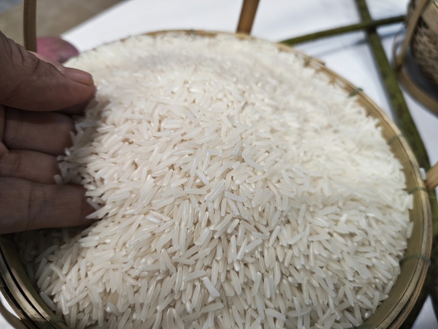 Giá lúa gạo bất ngờ giảm mạnh sau Tết- Ảnh 1.