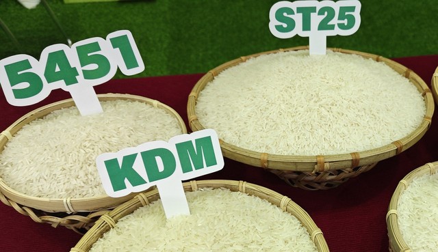 Vì sao giá gạo ST25 xuất khẩu lại giảm?- Ảnh 1.