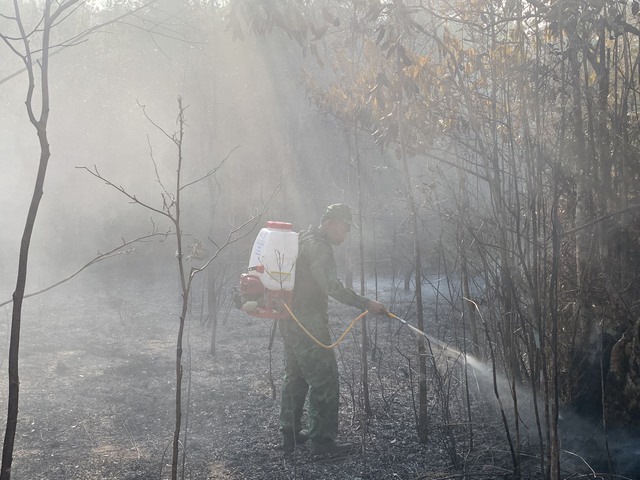 Phú Quốc đang cảnh báo cháy rừng cấp cực kỳ nguy hiểm- Ảnh 3.