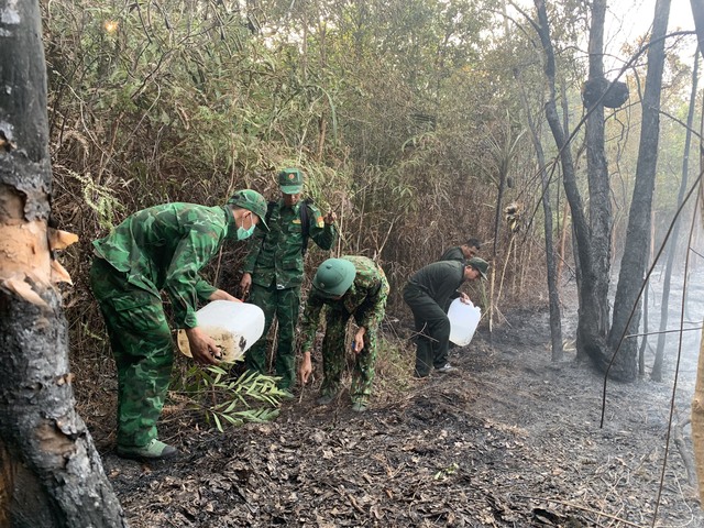 Cháy lớn đe dọa Vườn quốc gia Phú Quốc- Ảnh 4.