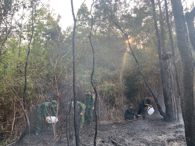 Cháy lớn đe dọa Vườn quốc gia Phú Quốc- Ảnh 1.