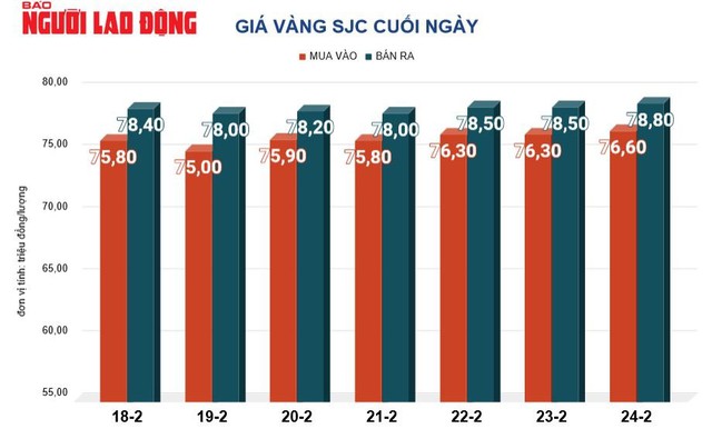 Giá vàng hôm nay 25-2: Vàng SJC, vàng nhẫn cùng cao chót vót- Ảnh 2.