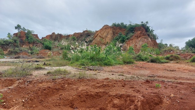 Công ty Xuân Vượng có dấu hiệu trốn thuế: Chuyển thông tin cho Công an Quảng Nam- Ảnh 2.