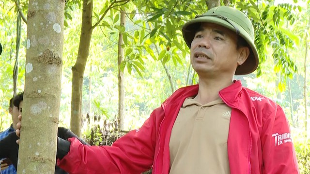 Ông Nguyễn Đức Sự bên vườn ươm cây giống bản địa của mình Ông Nguyễn Đức Sự bên vườn ươm cây giống bản địa của mình