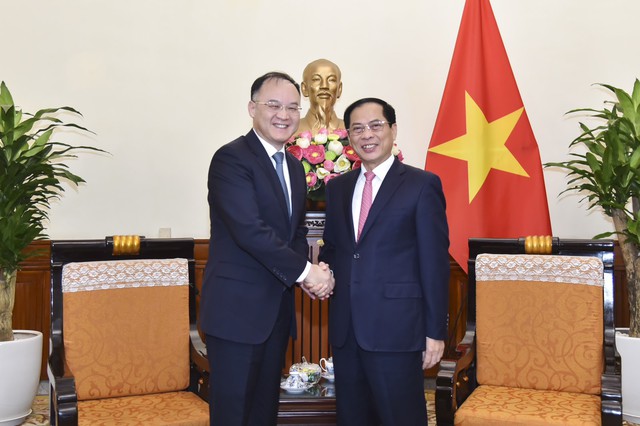 Bộ trưởng Bùi Thanh Sơn tiếp Trợ lý Bộ trưởng Ngoại giao Trung Quốc Nông Dung- Ảnh 1.