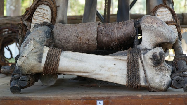 Ghế của "vua săn voi" độc nhất vô nhị tại Việt Nam- Ảnh 3.