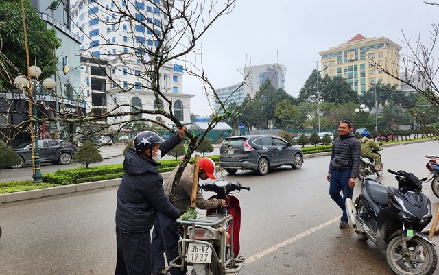 Đào rừng vứt thành đống trên phố ngày 30 Tết- Ảnh 10.